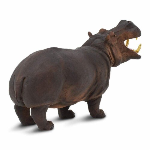 Hippopotamus Toy Perspective: bottom