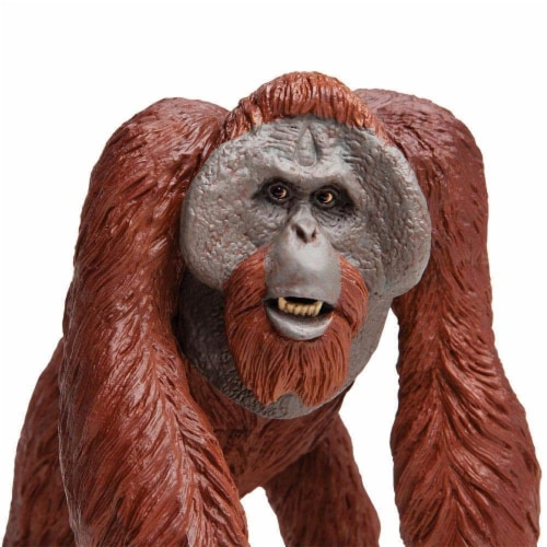 Bornean Orangutan Toy Perspective: bottom