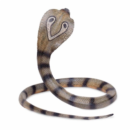 Cobra Perspective: bottom
