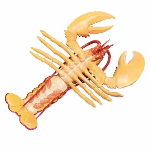 Safari Ltd®  Maine Lobster, Toy Figurine Perspective: bottom