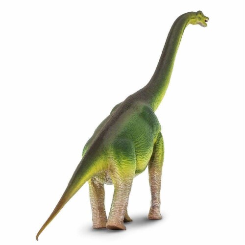 Brachiosaurus Toy Perspective: bottom