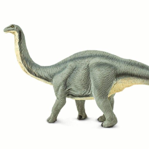 Apatosaurus Toy Perspective: bottom