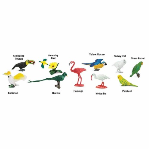 Exotic Birds TOOB Perspective: bottom