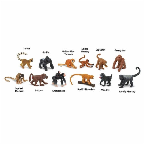 Monkeys & Apes TOOB Perspective: bottom