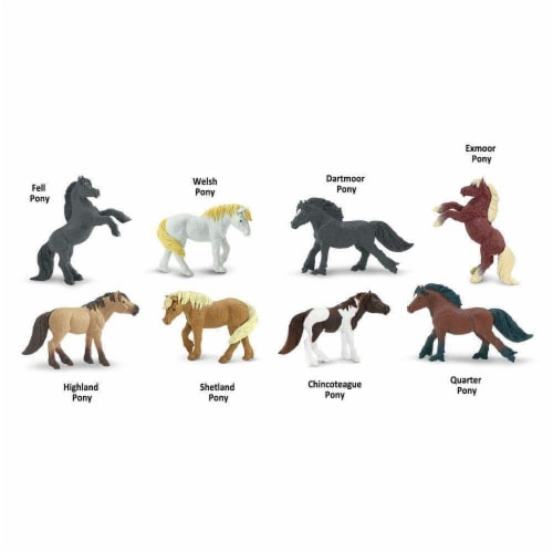 Ponies TOOB Perspective: bottom