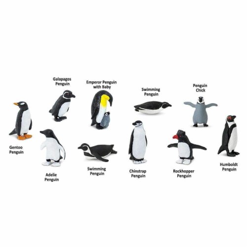 Penguins TOOB Perspective: bottom