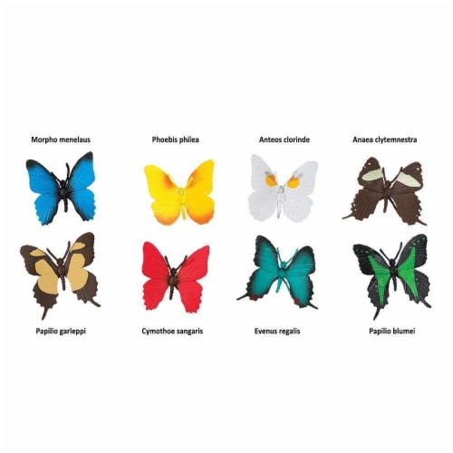 Butterflies TOOB Perspective: bottom