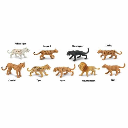 Big Cats TOOB Perspective: bottom
