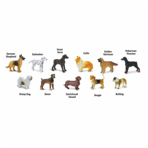 Dogs TOOB Perspective: bottom