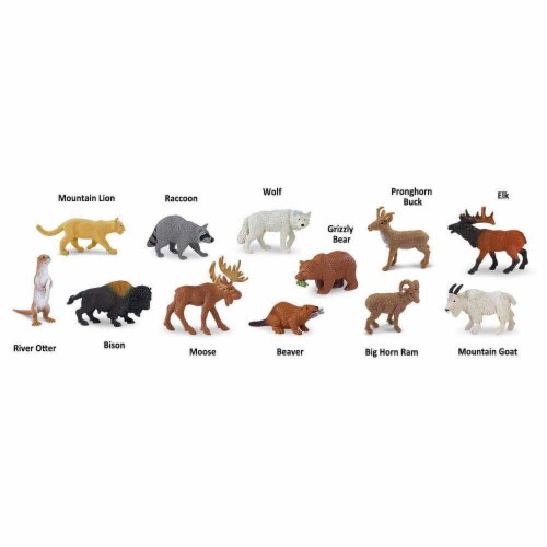 North American Wildlife TOOB Perspective: bottom