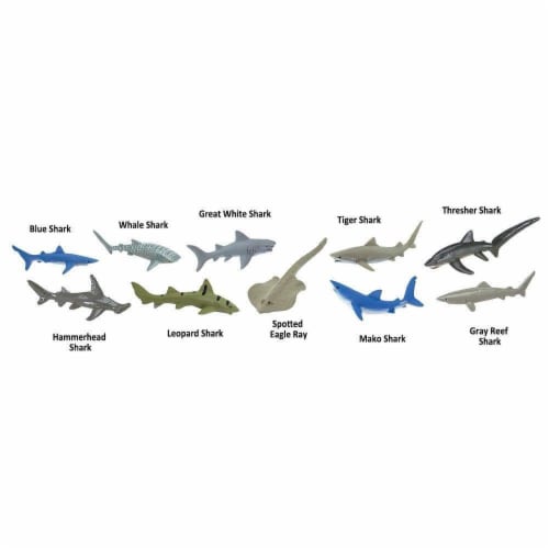 Sharks TOOB Perspective: bottom