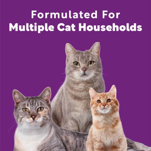 Scoop Away Multi-Cat Meadow Fresh Scent Clumping Cat Litter Perspective: bottom