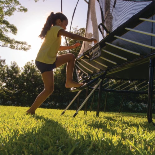 Springfree Trampoline FlexrStep V2 Ladder Accessory for Springfree Trampolines 1 Piece King Soopers