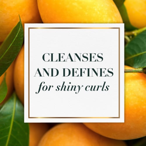 Herbal Essences bio:renew Mango + Potent Aloe Curl Definer Sulfate Free Shampoo Perspective: bottom
