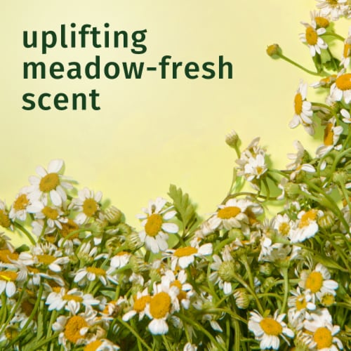Herbal Essences Chamomile Shine Conditioner Perspective: bottom