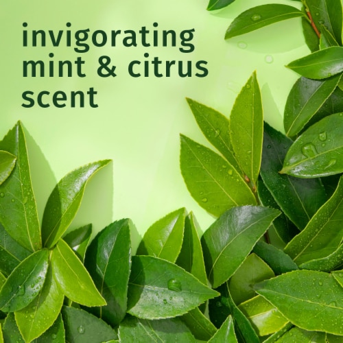 Herbal Essences Tea Tree Clarifying Shampoo Perspective: bottom