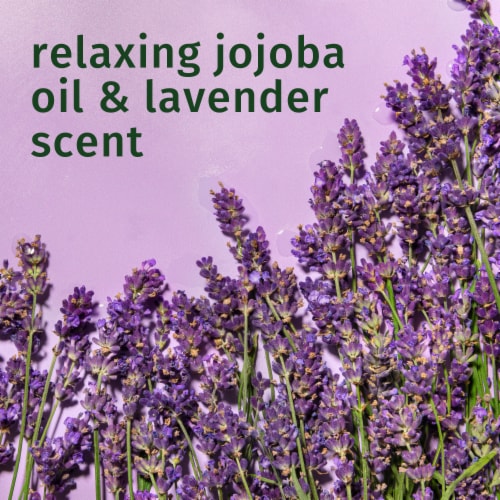 Herbal Essences Classics Curls Shampoo with Jojoba Oil and Lavender Perspective: bottom