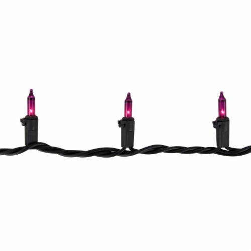 Northlight 35-Count Purple Mini Christmas Lights, 7ft Black Wire Perspective: bottom