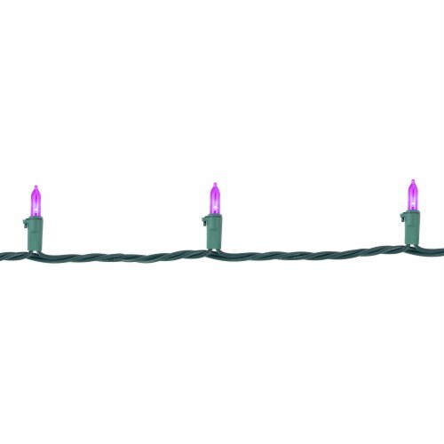 Northlight 50ct Purple LED Mini Christmas Lights, 16.25ft Green Wire Perspective: bottom