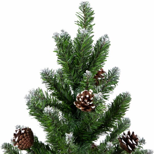 Northlight 24  Frosted Norway Pine with Pine Cones Medium Artificial Christmas Tree - Unlit Perspective: bottom