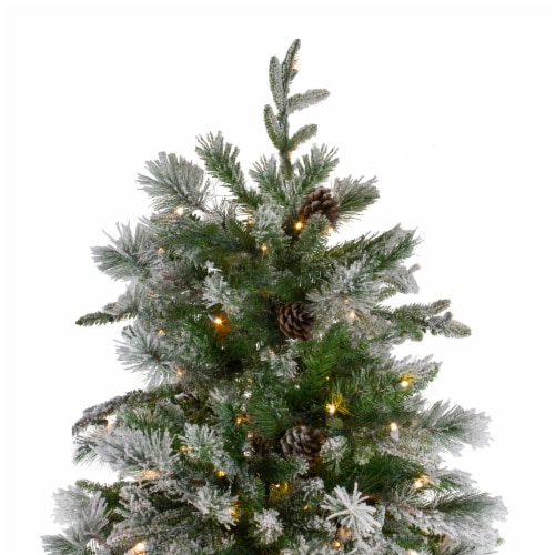 Northlight Real Touch™️ Pre-Lit Flocked Rosemary Emerald Angel Pine Artificial Christmas Tree Perspective: bottom