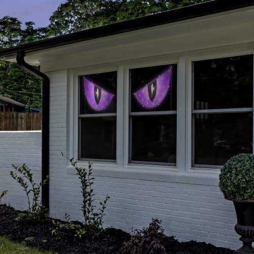 Northlight 42 Lighted Purple and Black Eyes Halloween Window Silhouette Decoration Perspective: bottom