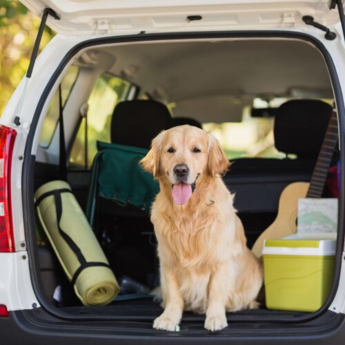 Petmaker 80-PET6045 Cargo Liner Dog Waterproof Seat Cover with Non-Slip Trunk Pet Travel Mat, Perspective: bottom