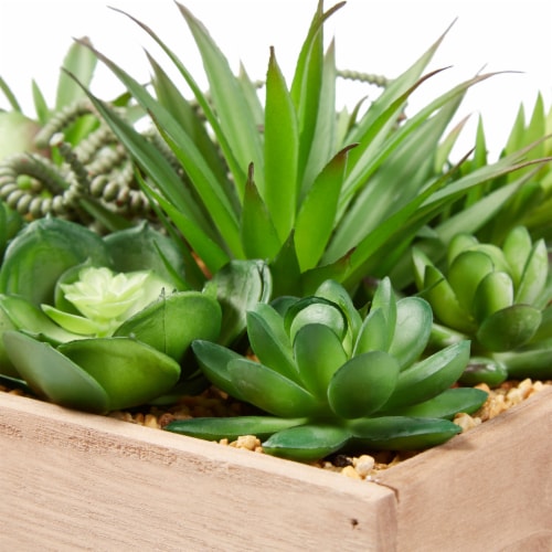 Faux Succulents  Assorted Lifelike Plastic Greenery Arrangement with 10 Inch Decorative Perspective: bottom