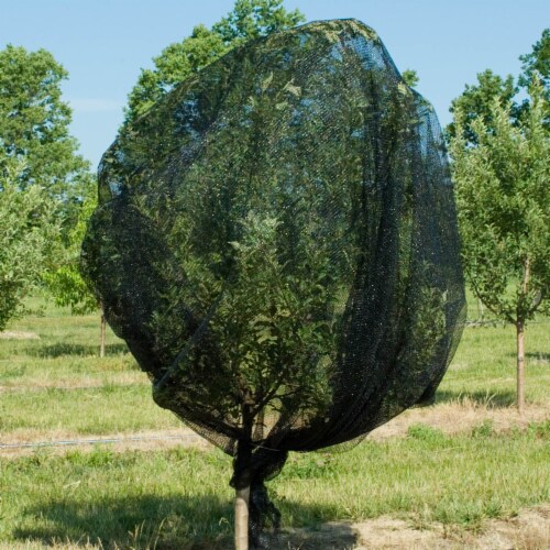 Gardens Alive! Large Premium Bird Netting Plant Protector Perspective: bottom