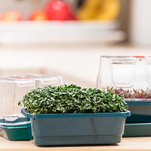 Gardens Alive! Microgreen Seed Starting Grow Kit Perspective: bottom