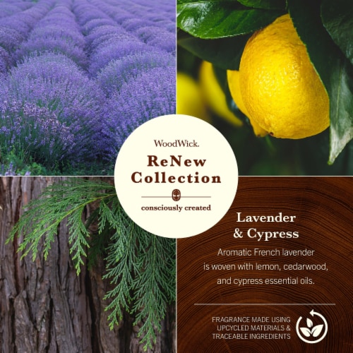 Woodwick® ReNew Collection Lavender & Cypress Candle Perspective: bottom