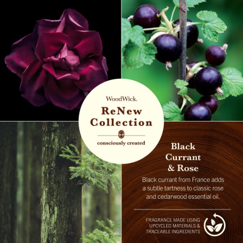 Woodwick® ReNew Collection Black Currant & Rose Candle Perspective: bottom