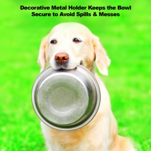 10 Elevated Raised Dog Feeder Stainless Steel Double Bowl Food Water Pet  Dish, 1 Unit - Kroger