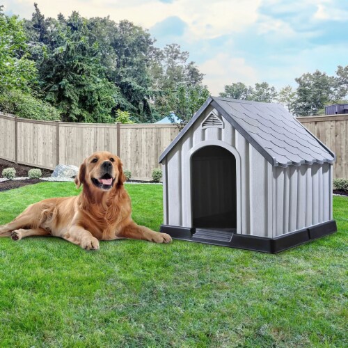Outside dog house for sale clearance