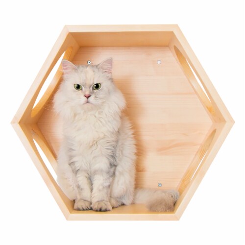 Myzoo cat bed sale