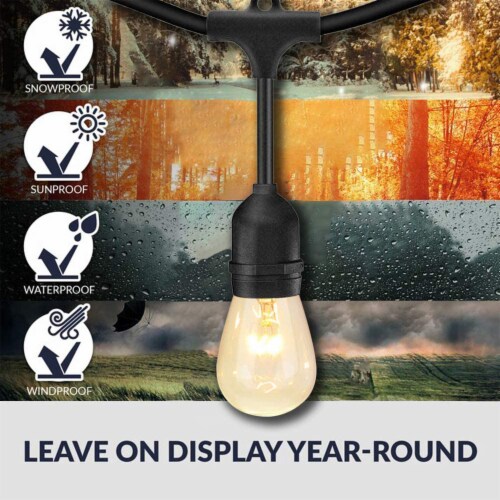 Banord Incandescent 48 Edison String Lights 18 Dimmable Bulbs