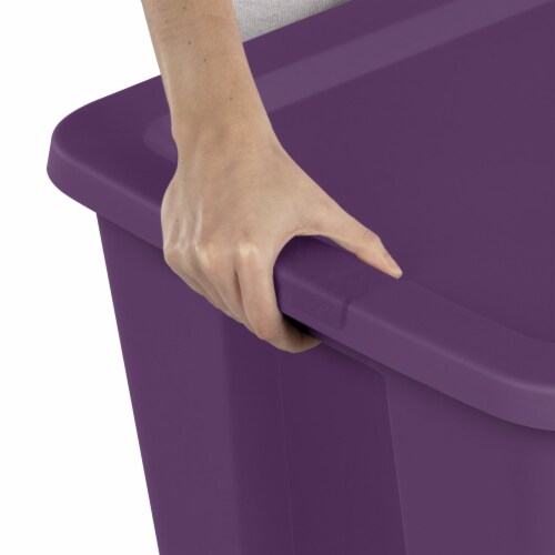 Purple plastic tote best sale