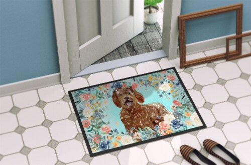 Carolines Treasures CK3425JMAT Golden Retriever Door Mat, Indoor Rug or  Outdoor Welcome Mat 24x36 Doormat, 36L x 24W