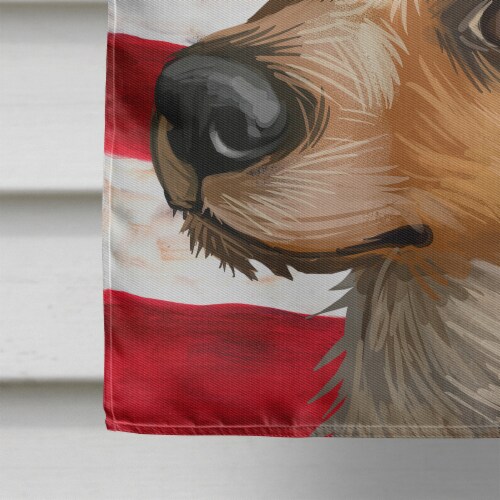 Kromfohrlander American Flag Flag Canvas House Size, House Size Ralphs