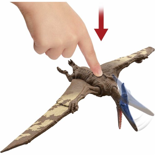 Pteranodon mattel shop
