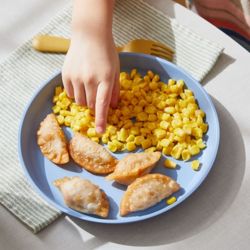 Nurture Life Healthy Toddler & Kid Favorites 6-Meal Variety Pack, Organic Focus Perspective: bottom