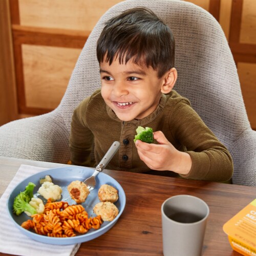 Nurture Life Healthy Toddler & Kid Food Picky Eater 6-Meal Variety Pack, Organic Focus Perspective: bottom
