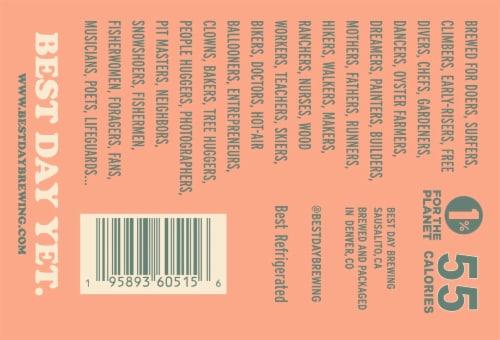 Best Day Brewing Kolsch Style Non-Alcoholic Cans Perspective: bottom