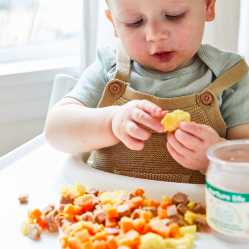 Nurture Life Healthy Baby & Toddler Finger Foods Favorites 6-Meal Variety Pack, Organic Focus Perspective: bottom