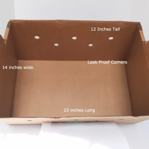 Disposable pet hot sale carrier