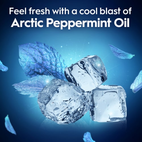 Oral-B Glide Arctic Peppermint Oil Flavor Dental Floss Picks Perspective: bottom