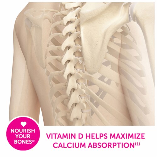 Caltrate Soft Chews 600+D3 Calcium Vitamin D Supplement, Chocolate Truffle Perspective: bottom