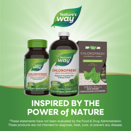 Nature's Way Chlorofresh Skin and Body Detox Chlorophyll Mint Flavored Liquid Perspective: bottom