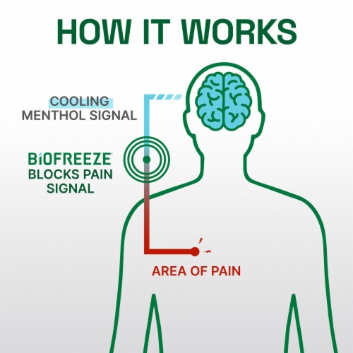 Biofreeze Professional Pain Relief Roll-On, Colorless Perspective: bottom