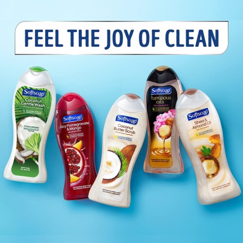 Softsoap Body Wash Rose and Vanilla Pack of 6 6 packs Foods Co